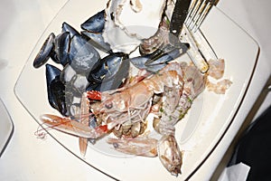 Assorted seafood plate
