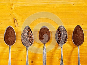 Assorted single origin coffee displayed in spoons