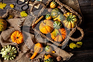 Assorted small colorful pumpkins in wicker straw basket