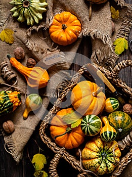 Assorted small colorful pumpkins in wicker straw basket