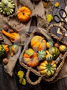 Assorted small colorful pumpkins in wicker straw basket