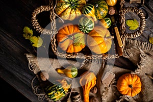 Assorted small colorful pumpkins in wicker straw basket