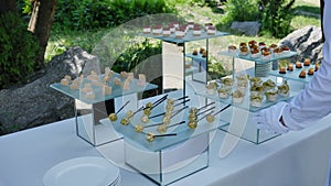 Assorted snacks on the plates of their fish and meat fish mirrors for a buffet of a festive event, parties and weddings