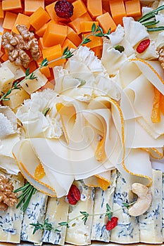 Assorted sorts of cheese on a plate, top view