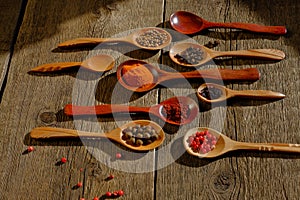 Assorted spices on the wooden spoon