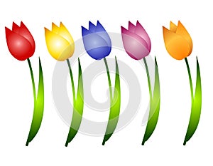 Assorted Spring Tulips Flowers Clip Art