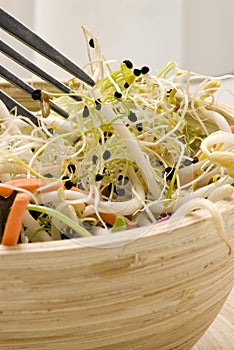 Assorted sprouts salad.