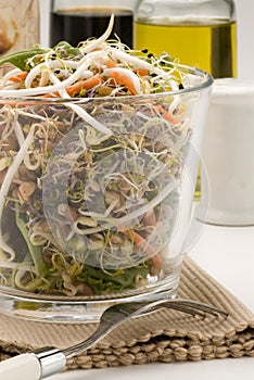 Assorted sprouts salad.