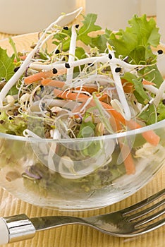 Assorted sprouts salad.