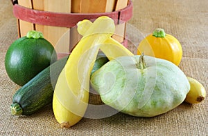 Assorted Summer Squash photo