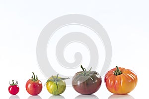 Assorted tomatoes heirloom isolated on white