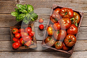 Assorted tomatoes in rustic crate