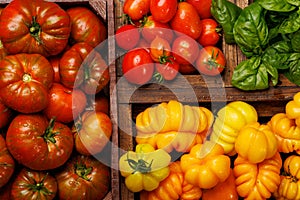 Assorted tomatoes in rustic crate