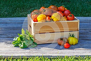 Assorted tomatoes in rustic crate