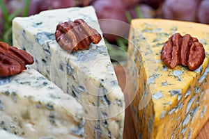 Assorted types of cheese