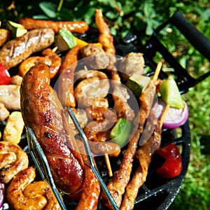 Assorted types of meat and vegetables