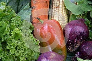 Assorted vegetables on organic background