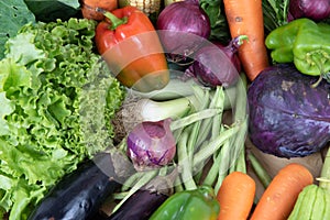 Assorted vegetables on organic background