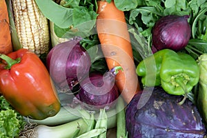 Assorted vegetables on organic background