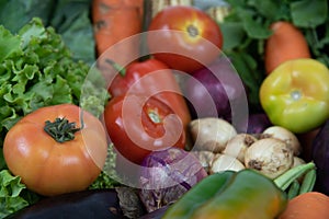 Assorted vegetables on organic background