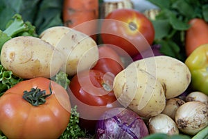 Assorted vegetables on organic background