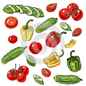 Assorted of vegetables. Red, green and yellow tomatoes, cucumbers and peppers isolated on white background. Whole and sliced objec