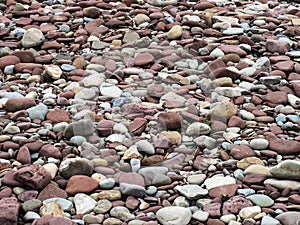 Assorted weathered rocks on the shore of Lake Ontario - 1