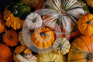 Assortiment of pumpkins background