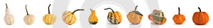 Assortiment of pumpkins on white