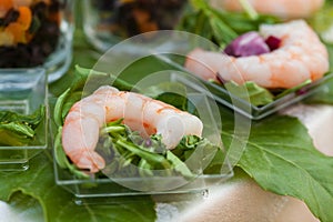 Assortment Appetizers and finger food