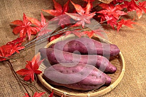 Assortment of autumn taste in Japan and Japanese sweet potatos