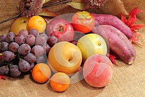 Assortment of autumn taste in Japan and Japanese sweet potatos