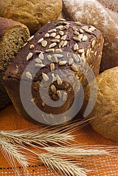 Assortment baked bread