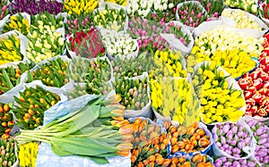 Assortment of bouquets of colorful tulips in a farmers market photo
