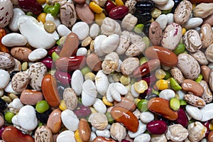 Assortment of colorful beans