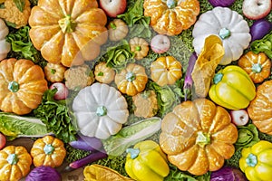 Assortment of colorful dummy fresh fruit and vegetable