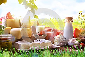 Assortment of dairy products on grass in the meadow