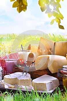 Assortment of dairy products on grass in the meadow vertical