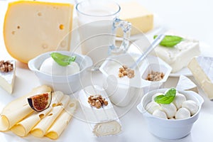 Assortment of different dairy products