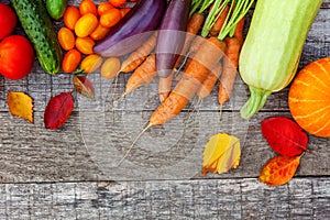 Assortment different fresh organic vegetables on country style wooden background