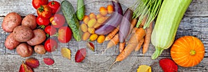 Assortment different fresh organic vegetables on country style wooden background
