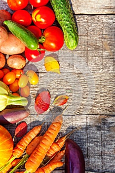 Assortment different fresh organic vegetables on country style wooden background