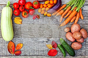 Assortment different fresh organic vegetables on country style wooden background