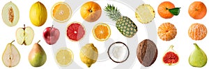 Assortment of different fruits apple, orange, lemon, pear, melon, pineapple, coconut, fig  isolated on white background