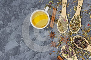 Assortment of different grade dry tealeaf in wooden spoons and cup of green tea. Organic herbal, green and black tea with dry photo