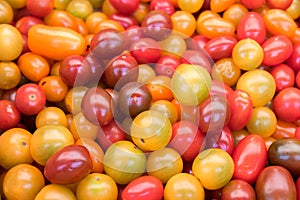 Assortment of different organics cherry tomatoes sold at local