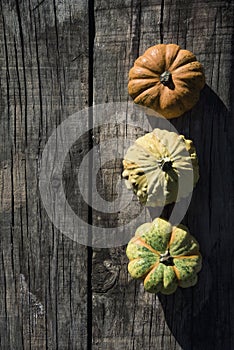 Assortment of different pumpkins