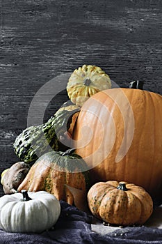 Assortment of different pumpkins