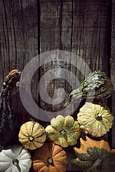 Assortment of different pumpkins