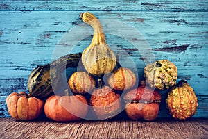 Assortment of different pumpkins